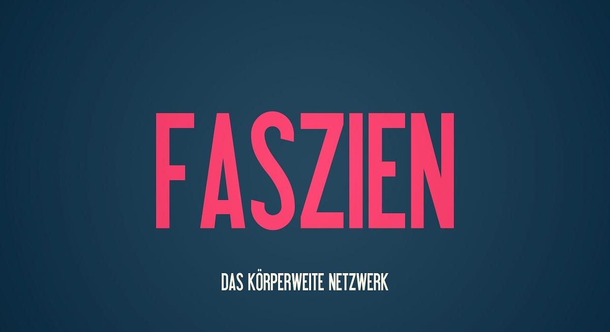 Die Faszien sind ein körperumspannendes und durchziehendes System was noch wenig erforscht ist. Diese hellen teileweise Millimeter dicken Gewebeschichten bestehen aus Kollagen, Elastin, verschiedene Zellen und Wasser um die Fasern herum.